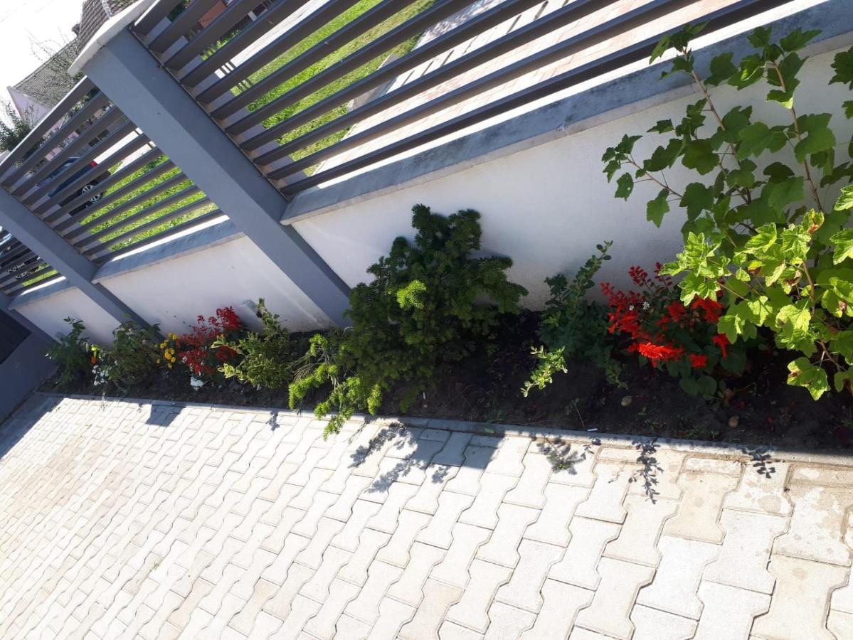 Apartament Saguna Nagyszentmiklós Kültér fotó